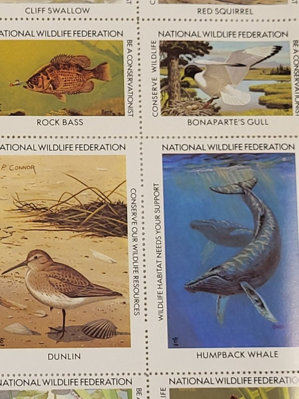 Vtg Stamps 36p America 1984 Wildlife by R Peterson Collector Album Philately USA - Picture 7 of 8
